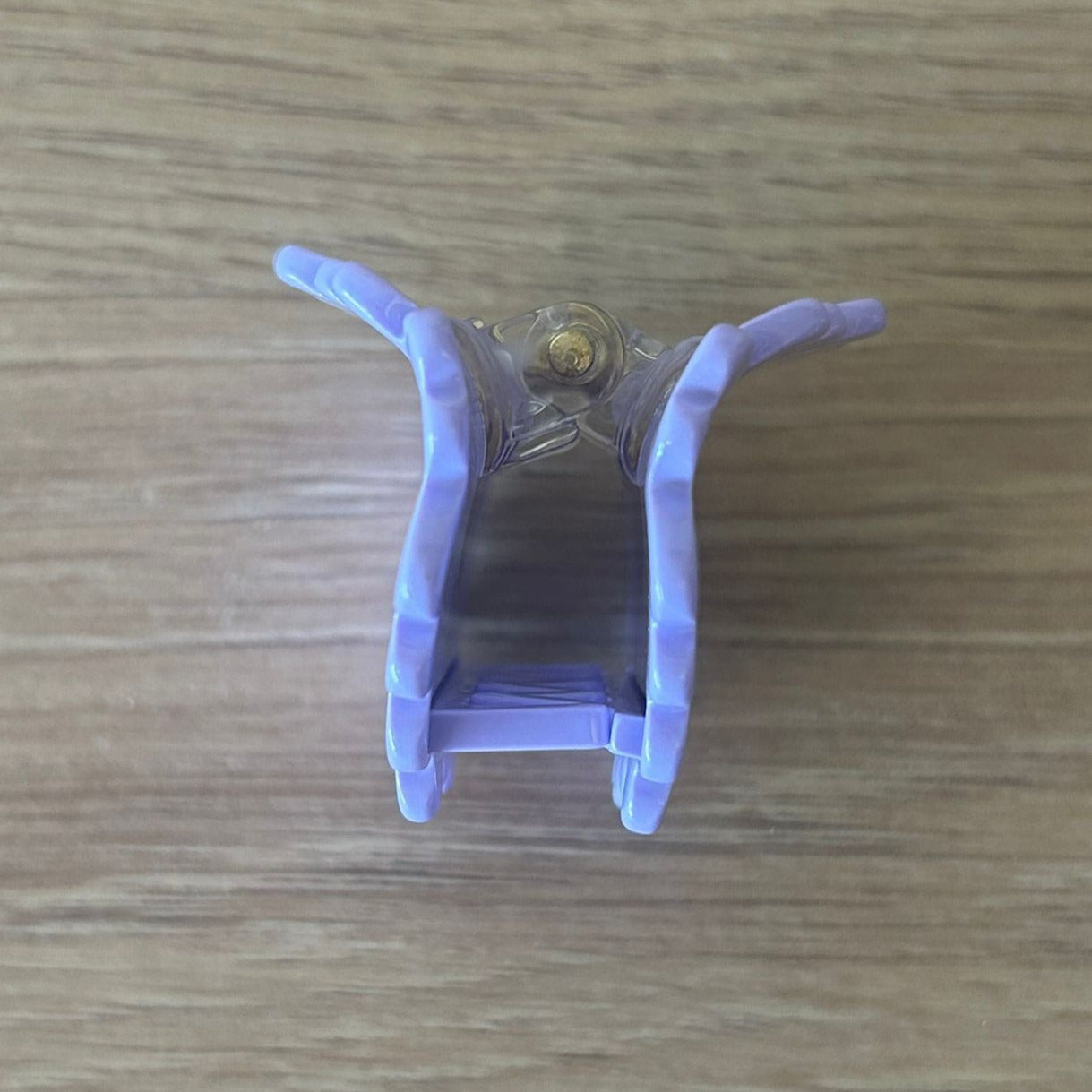 Mini Purple Daisy - Side Straight Inside View to Spring and Claws