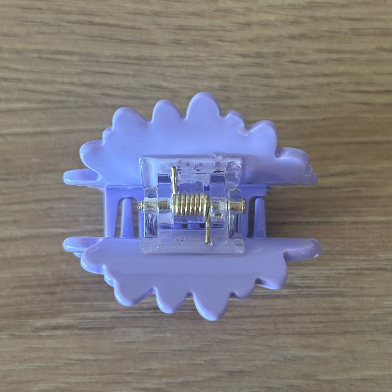 Mini Purple Daisy - Top Straight Inside Spring View to Claws