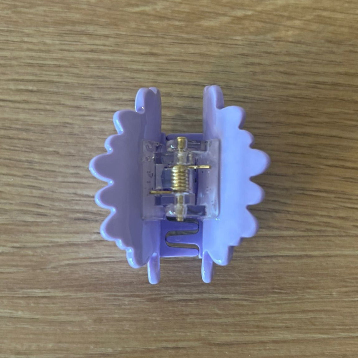 Mini Purple Daisy - Top Perpendicular Inside Spring View to Claws